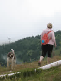 mom and enzo