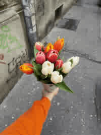 flowers