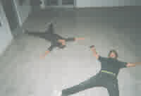 fallen